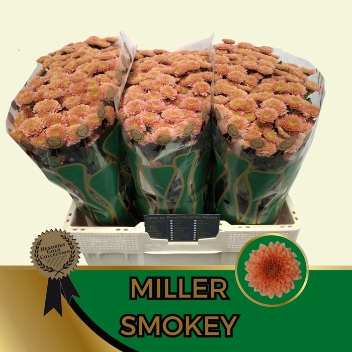 <h4>CHR S MILLER SMOKEY</h4>