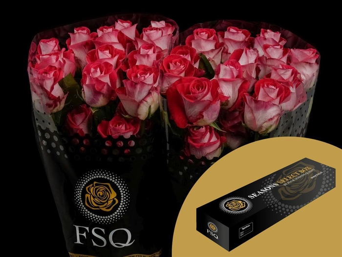 <h4>R GR Bluez Box</h4>