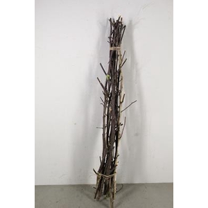 Birch Stem Branched 100cm(10pc