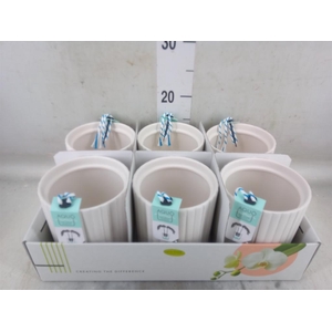 Pot   ...Keramische H%