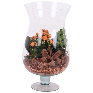 Autumn Arr. Indoor Glass Cognac Ø17cm 2PP