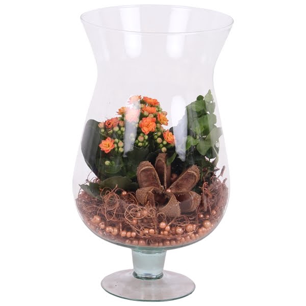 <h4>Autumn Arr. Indoor Glass Cognac Ø17cm 2PP</h4>