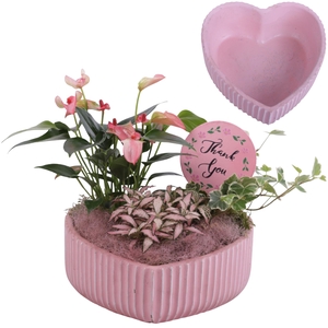 Mothersday Arr. Indoor Ceramic Heart Bowl Ribbles Ø21cm 3PP