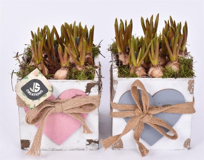 <h4>Hout vierk hart en touw 12x12cm</h4>