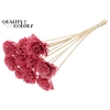 Shola Karnish Flower 6cm on stem Wax Light Pink