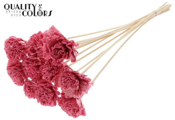 Shola Karnish Flower 6cm on stem Wax Light Pink