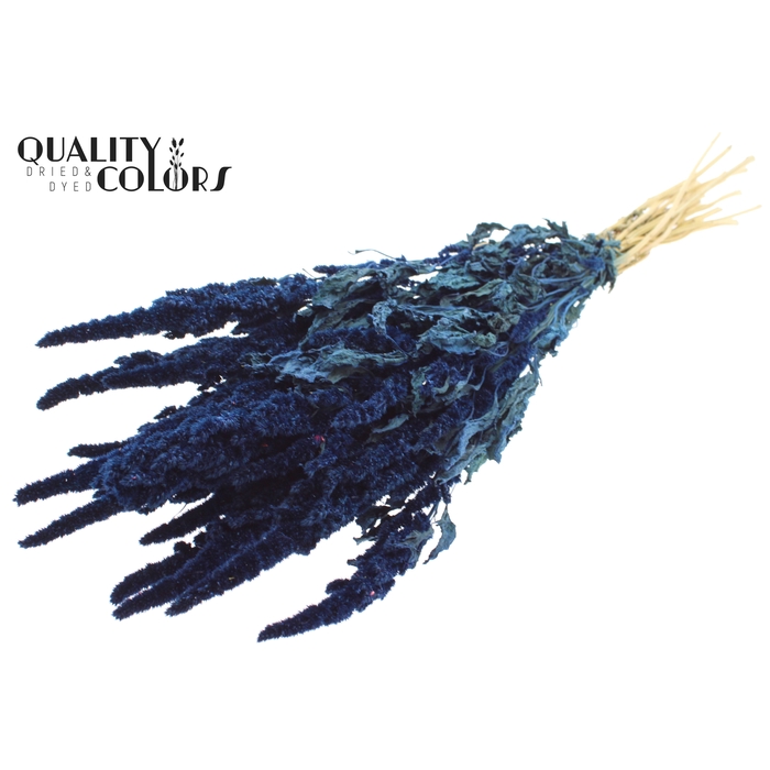 <h4>Amaranthus per bunch Blue</h4>