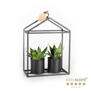 Greenhouse Doub. Black Crea. P6