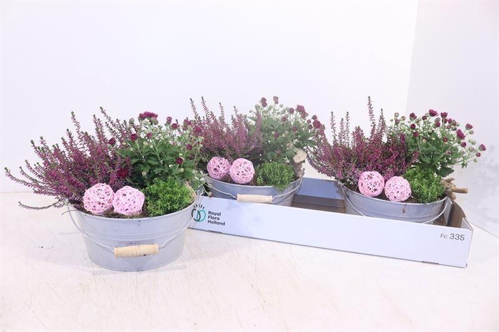 <h4>ARR TUINPLANTEN</h4>