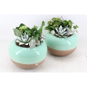 arr2 MB - Ker. bolpot duo green 338/3
