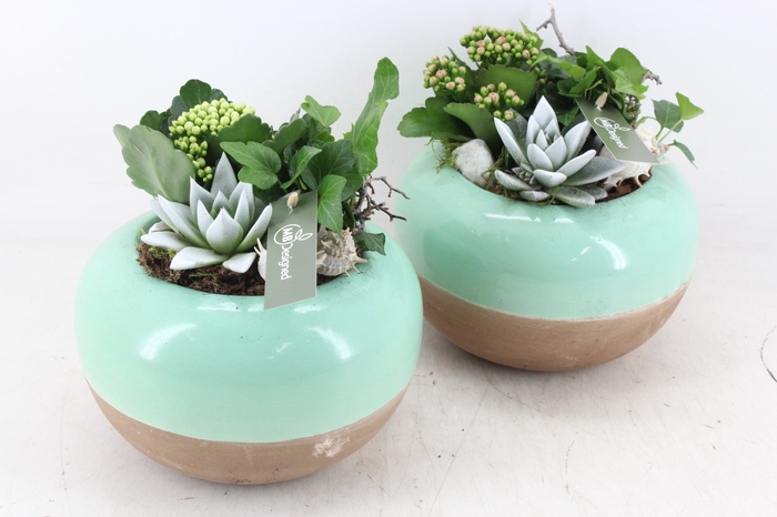 <h4>arr2 MB - Ker. bolpot duo green 338/3</h4>