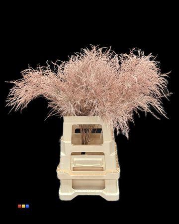 <h4>Treefern Terracotta</h4>