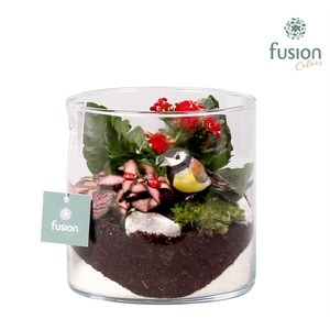 Glazen cilindervaas met najaars