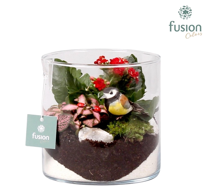 <h4>Glazen cilindervaas met najaars</h4>