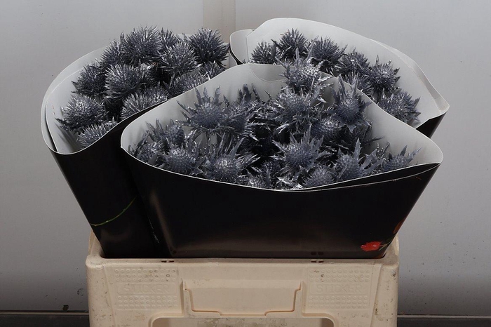 <h4>Eryn Wx 50cm Zilver</h4>