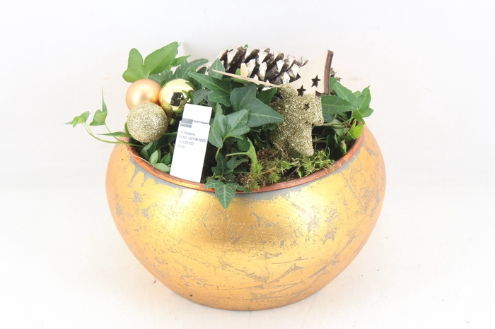 arr2 PL - Zink bol schaal goud Hed.