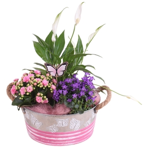 Mothersday Arr. Indoor Zinc Butterfly Pot Ø21cm 3PP