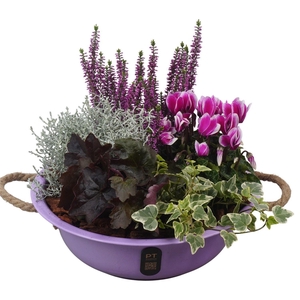 Arr.   Tuinplanten L%