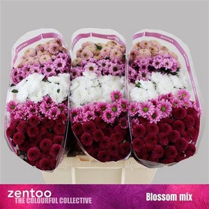 Sant Sweet Mixed