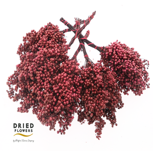 Dried Pepper Berries Burgundy