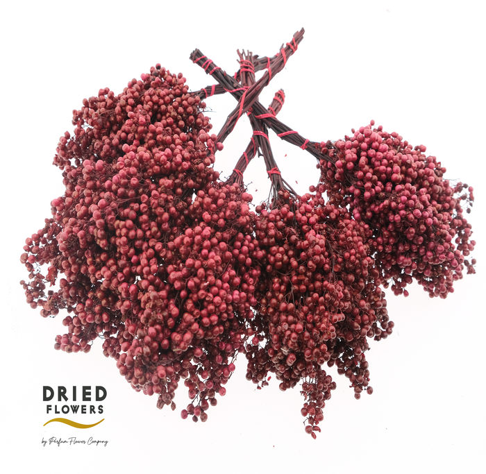 <h4>Dried Pepper Berries Red Carnation</h4>