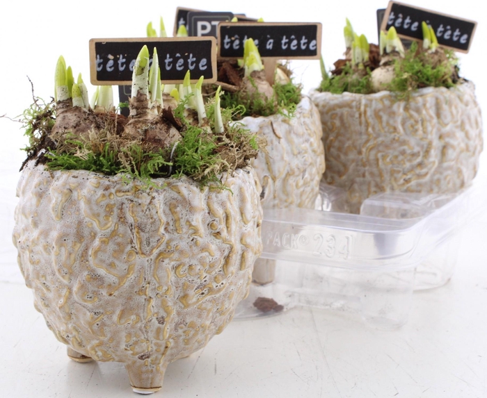 <h4>ARR N TETE A TETE</h4>