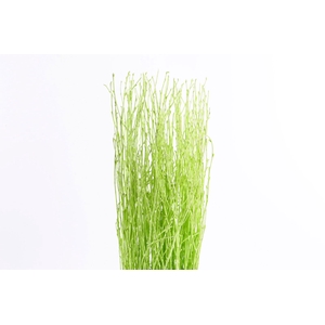 Berk Klb Mint
