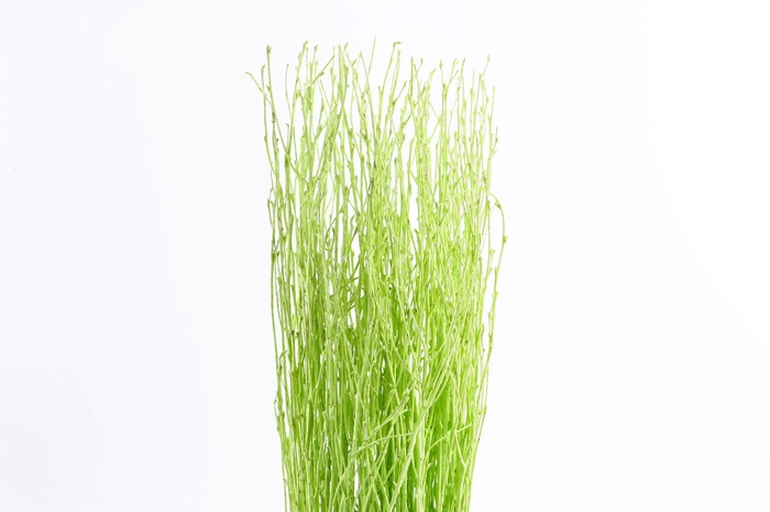 <h4>Berk Klb Mint</h4>