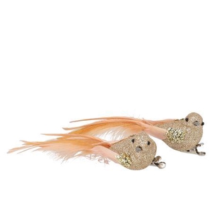 Deco Shine Bird Clip Cozy Champagne 16cm Per 2
