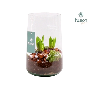 Green Bottle Deline Large Kerst met Hyacint