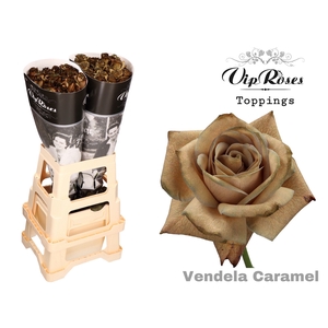 R GR VENDELA CARAMEL