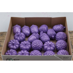 Deco Pumpkin Acorn Pumpkin Purple