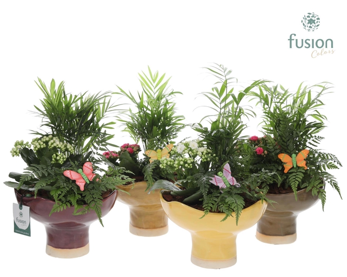 <h4>Keramiek schaal Large met Voorjaar Arrangement</h4>