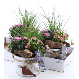 ARR TUINPLANTEN