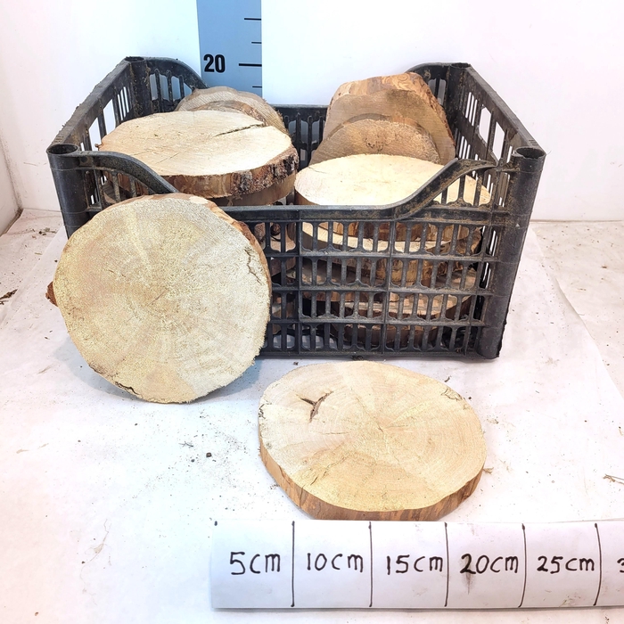 <h4>HUIS EN TUINDECO OV</h4>