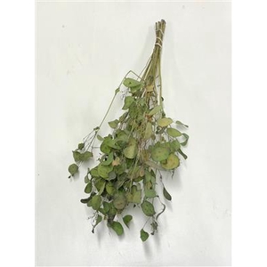 DROOG LUNARIA GROEN 45 CM