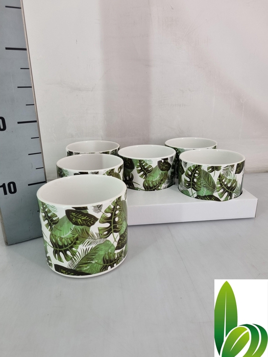 <h4>HUIS EN TUINDECO H%</h4>