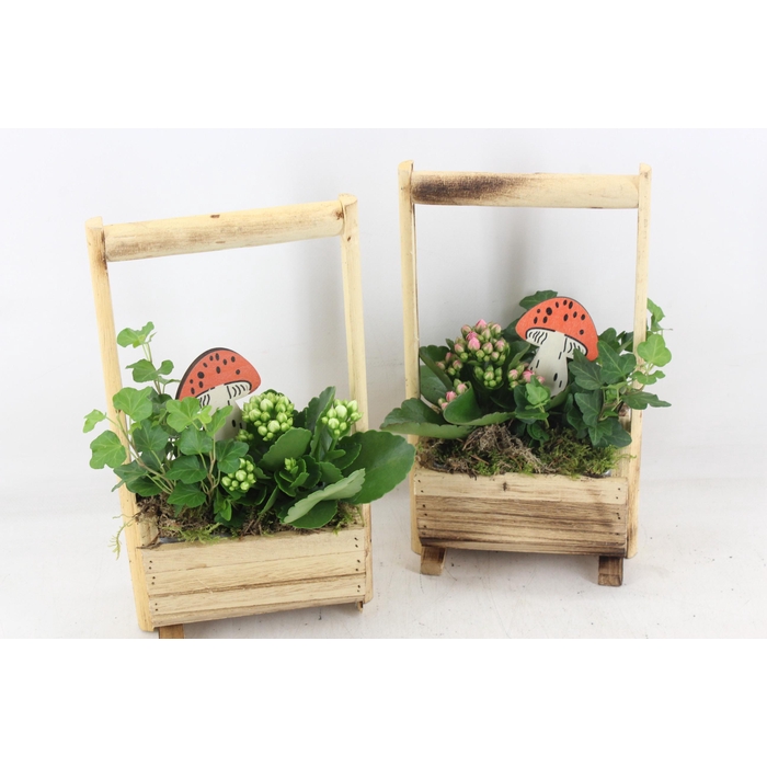 <h4>Arr2 Td - Hout Ton Handvat X5</h4>