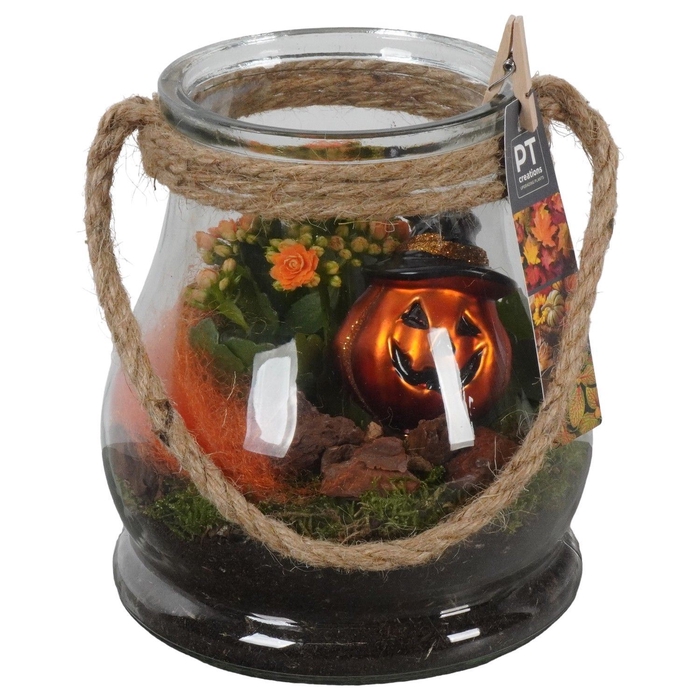 <h4>Arr.    Planten  L%</h4>