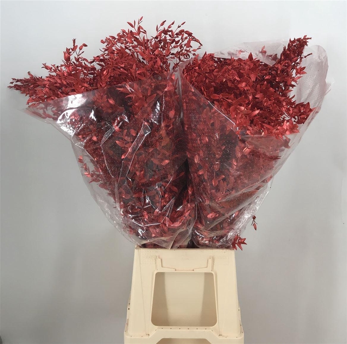 <h4>Euca Pop Bes Red Metal Rosso</h4>