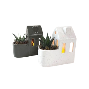 Arr.   Kamerplant Groen L%