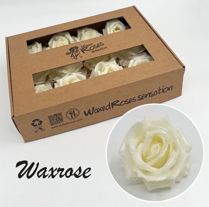 <h4>R Zijde Wx Wit</h4>