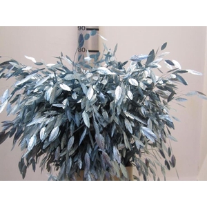 Chasmanthium Metallic Blauw