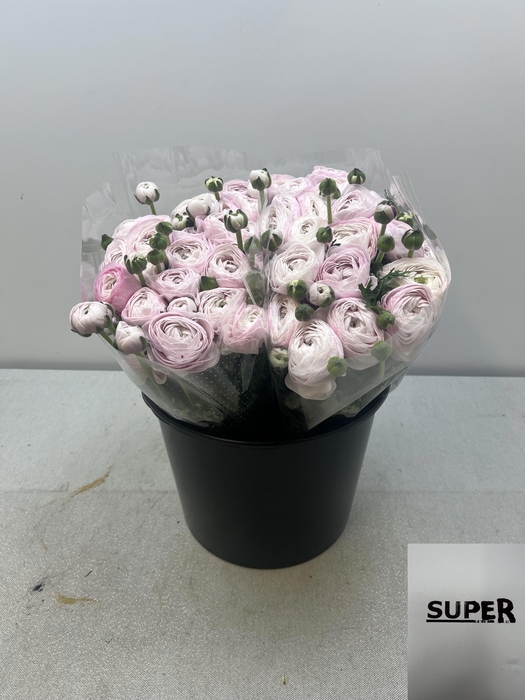 <h4>RAN CLONI SUPER NEBBIA</h4>