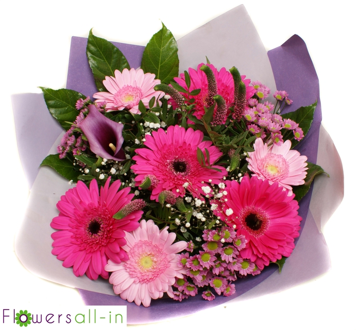 <h4>202274 lila</h4>