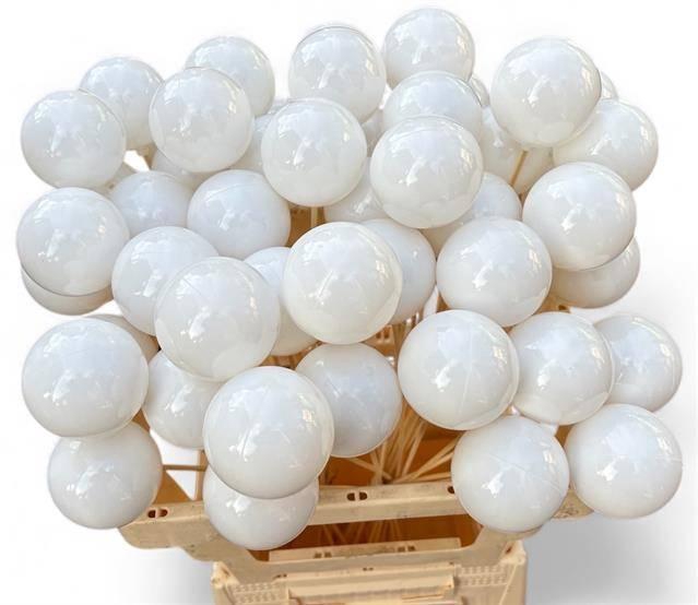 <h4>KUGEL AUF STAB H% WEISS</h4>