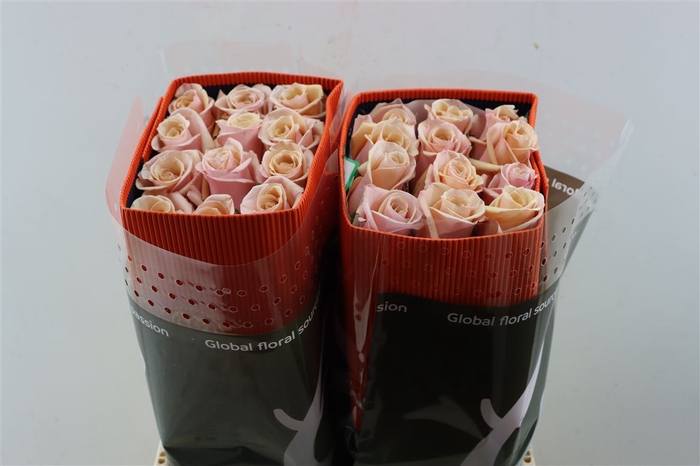 <h4>R Gr Mother Of Pearl Box</h4>