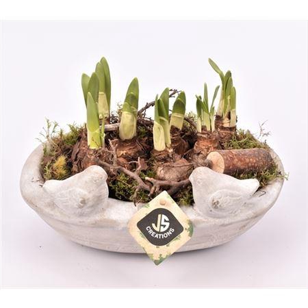 <h4>Narcis 21023 Cement Voederschaal</h4>