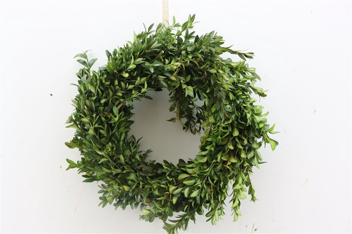 <h4>Wr Easter Buxus Half 30cm</h4>