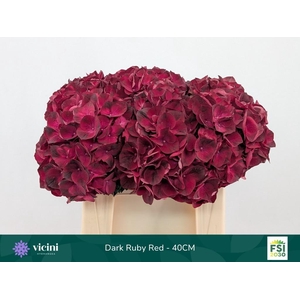 HYDR M MAG DARK RUBY